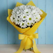 Букет цветов из:  Хризантемы в Кудрово Ленинградская область