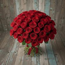 Букет 55 Красных роз Фридом #REPLACE_PRED# Кудрово Ленинградская область