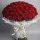 Букет 101 Красная роза Блэк Мэджик в Кудрово Ленинградская область