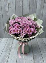 Букет цветов из:  Хризантемы в Кудрово Ленинградская область