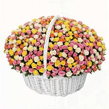 Премиум букет из: Розы в Кудрово Ленинградская область