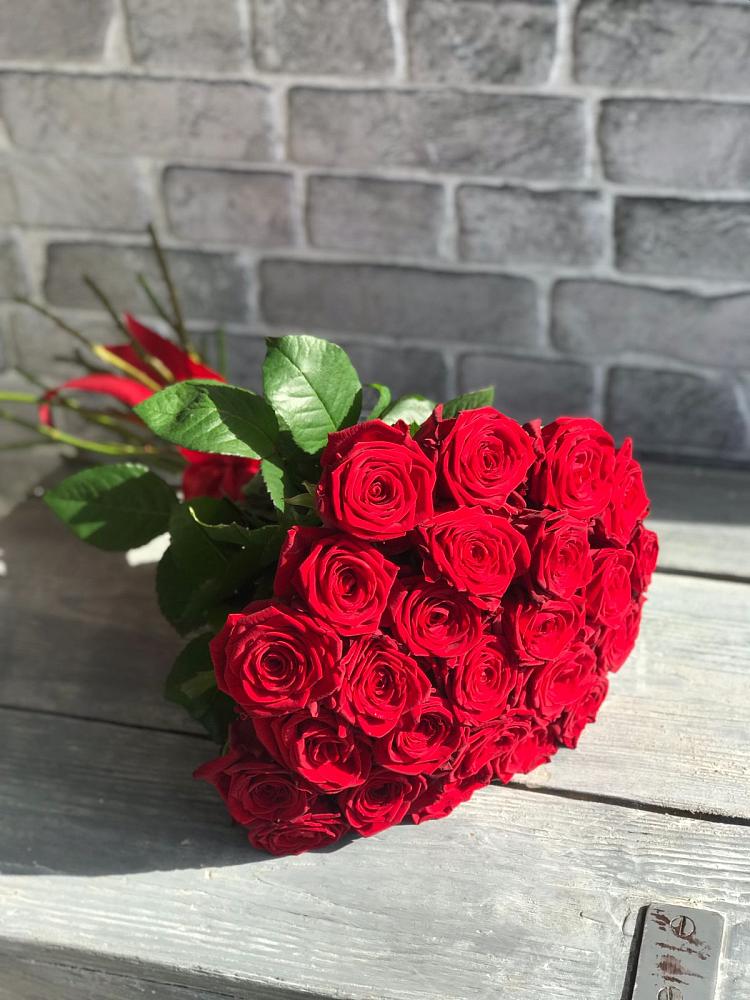 Букет Красные розы Фридом в Кудрово Ленинградская область