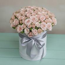 Цветочная композиция из Розы в шляпной коробке #REPLACE_PRED# Кудрово Ленинградская область