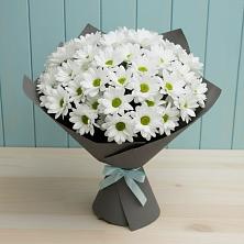 Букет цветов из:  Хризантемы в Кудрово Ленинградская область