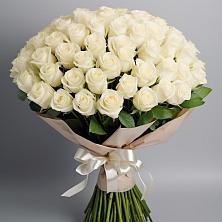 Букет 101 беля роза Белоснежка в Кудрово Ленинградская область
