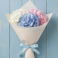 Букет цветов из:  Гортензия в Кудрово Ленинградская область