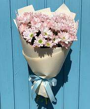 Букет цветов из:  Хризантемы в Кудрово Ленинградская область