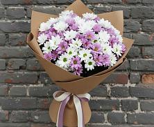 Букет цветов из:  Хризантемы в Кудрово Ленинградская область