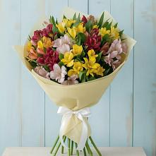 Букет цветов из:  Альстромерии в Кудрово Ленинградская область