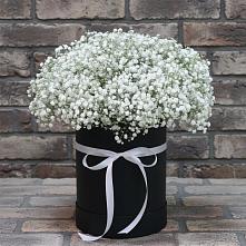 Цветочная композиция из Гипсофила в шляпной коробке #REPLACE_PRED# Кудрово Ленинградская область