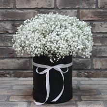 Цветочная композиция из Гипсофила в шляпной коробке в Кудрово Ленинградская область