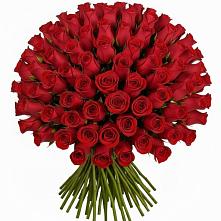 Букет Красные розы Чери Лав #REPLACE_PRED# Кудрово Ленинградская область