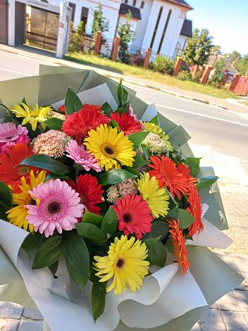 Букет цветов из: Герберы в Кудрово Ленинградская область